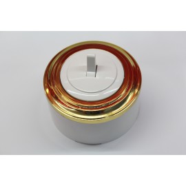 Пластиковый выключатель однорычажковый (белый механизм, золотая рамка, белый стакан) 